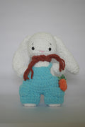 Carrot Bunny